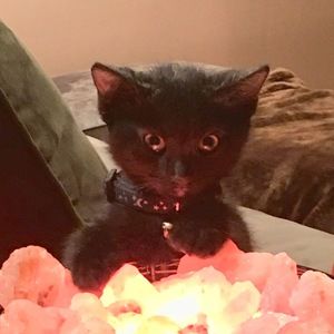 Meet your Posher, M. d.